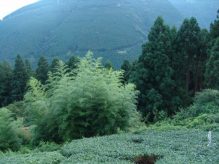 風景