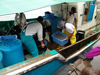 えんばい朝市