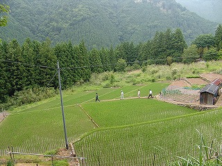 支援者廻り